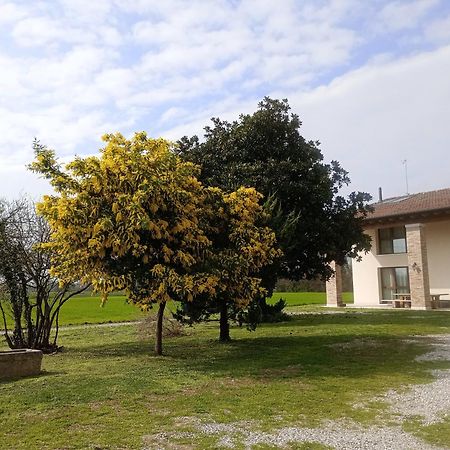 Agriturismo Trabucco 카잘레술실레 외부 사진
