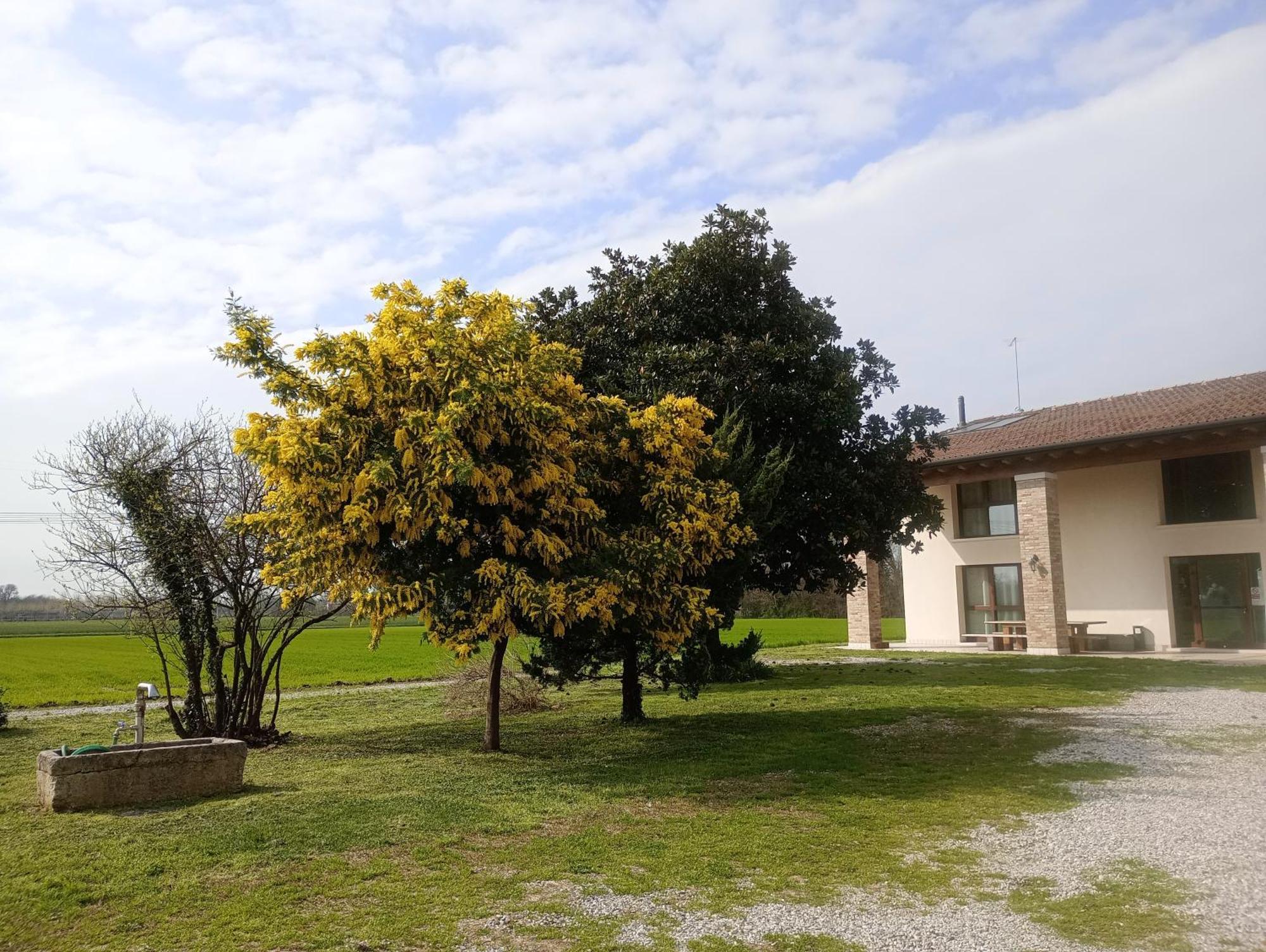 Agriturismo Trabucco 카잘레술실레 외부 사진
